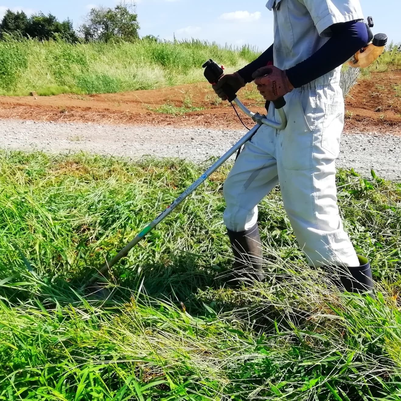 草刈り 日進市 | 日進市で草刈りならお庭の窓口日進市
