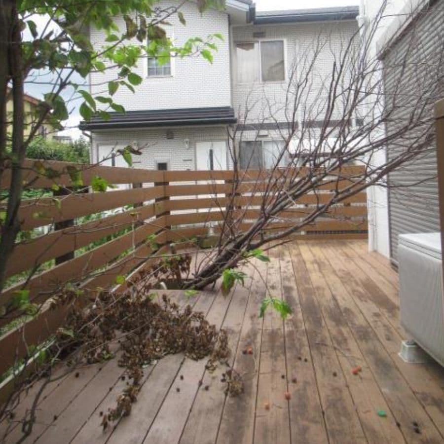 倒木撤去 日進市 | 日進市で庭木の倒木撤去ならお庭の窓口日進市