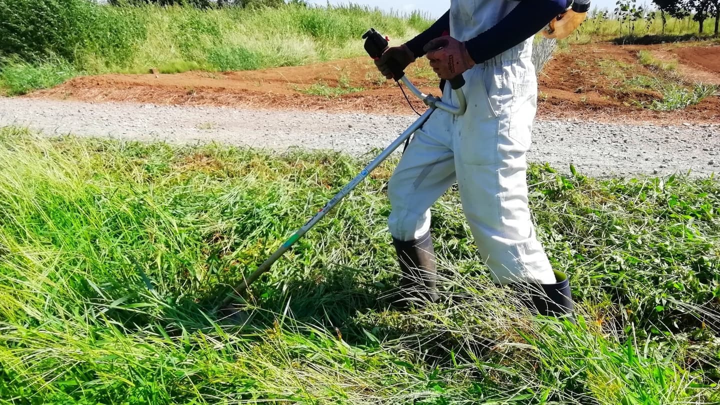 草刈り 日進市 | 日進市で草刈りならお庭の窓口日進市