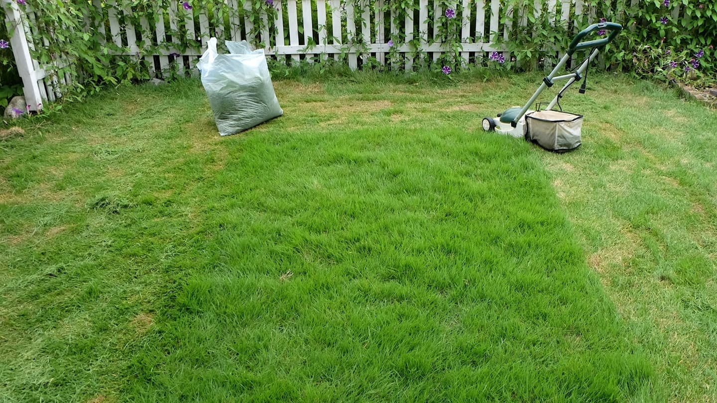 芝生の手入れ 日進市 | 日進市で芝生の手入れならお庭の窓口日進市