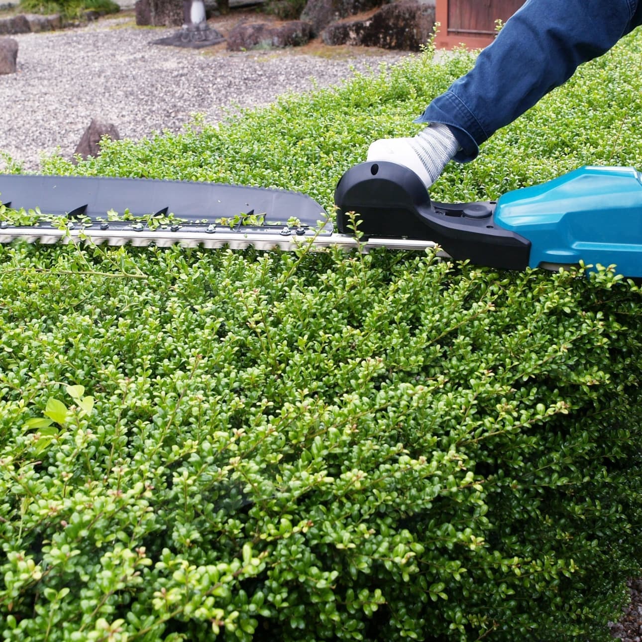 植込み剪定 日進市 | 日進市で庭木の植込み剪定ならお庭の窓口日進市
