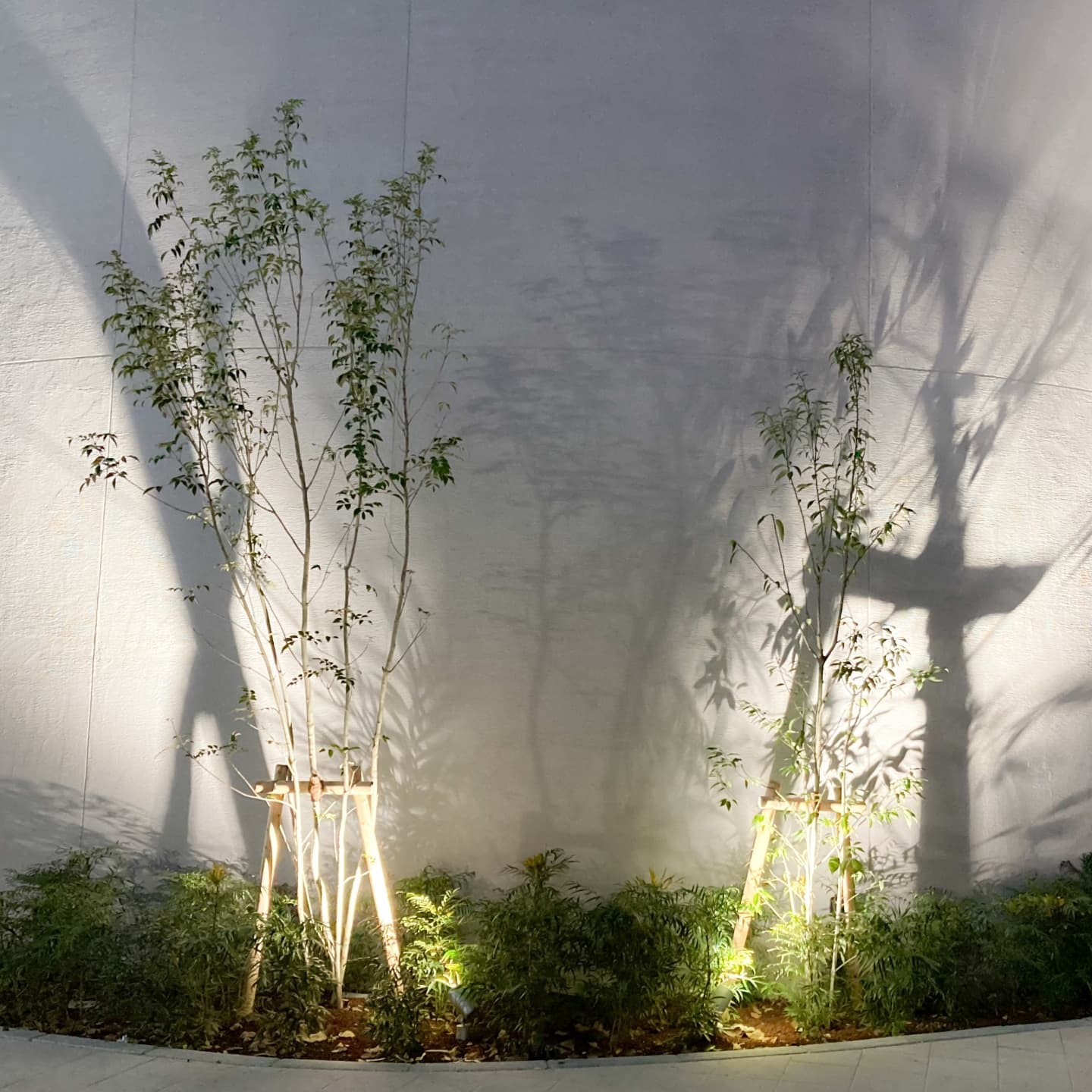 庭木の植栽 日進市 | 日進市で庭木の植栽ならお庭の窓口日進市