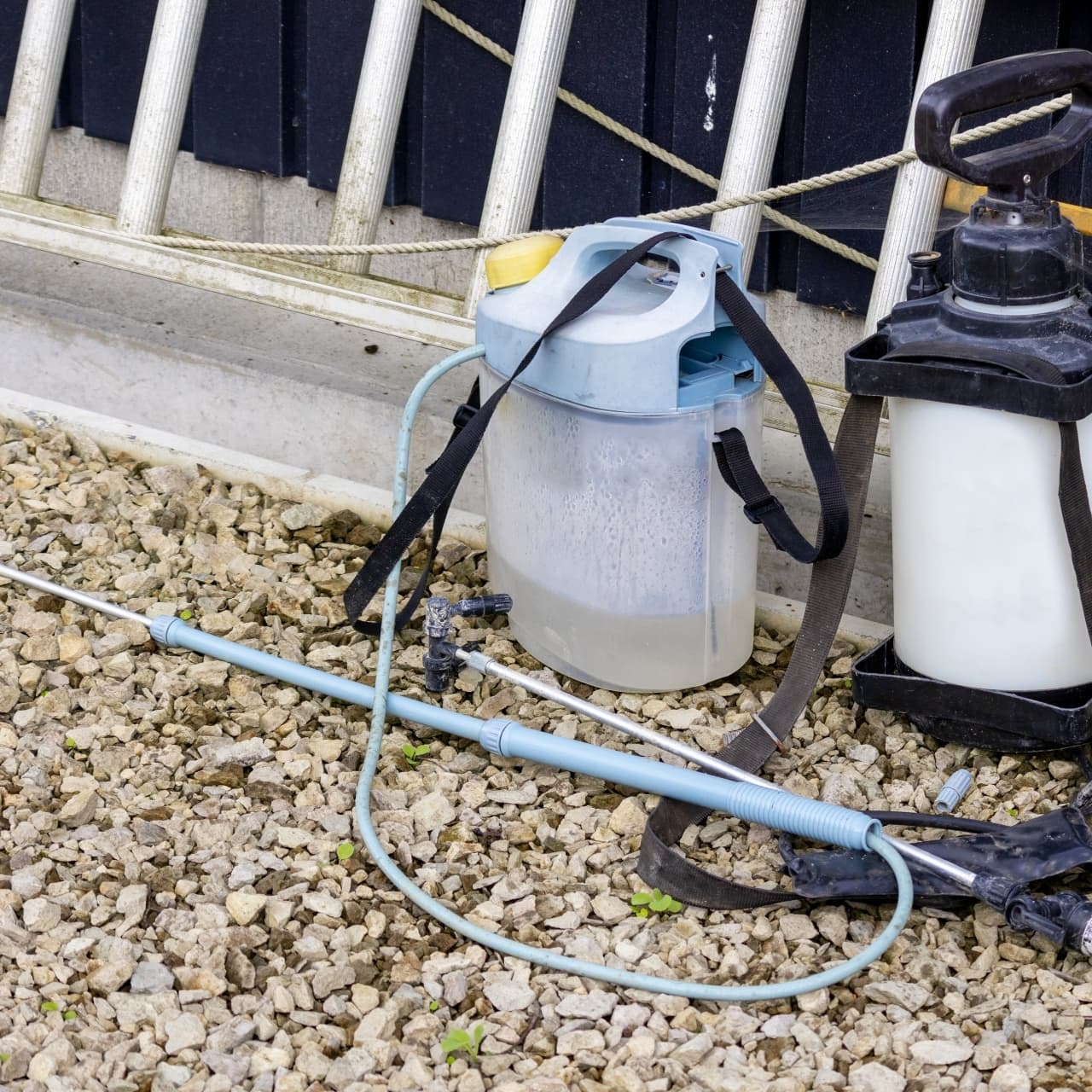 庭木の消毒・害虫対策 日進市 | 日進市で庭木の消毒・害虫対策ならお庭の窓口日進市